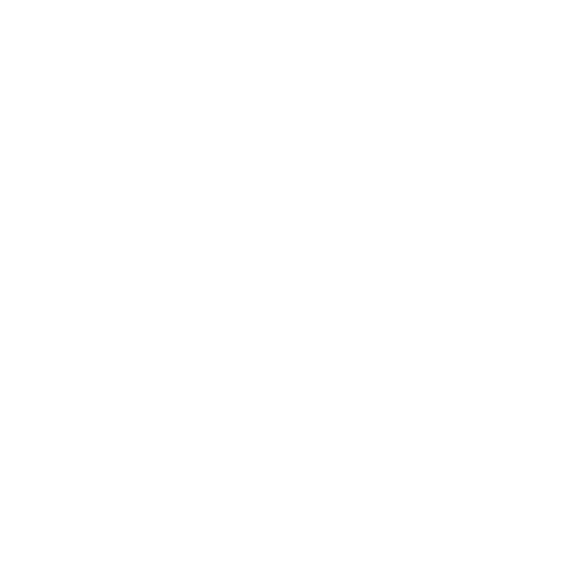 Motion Capture